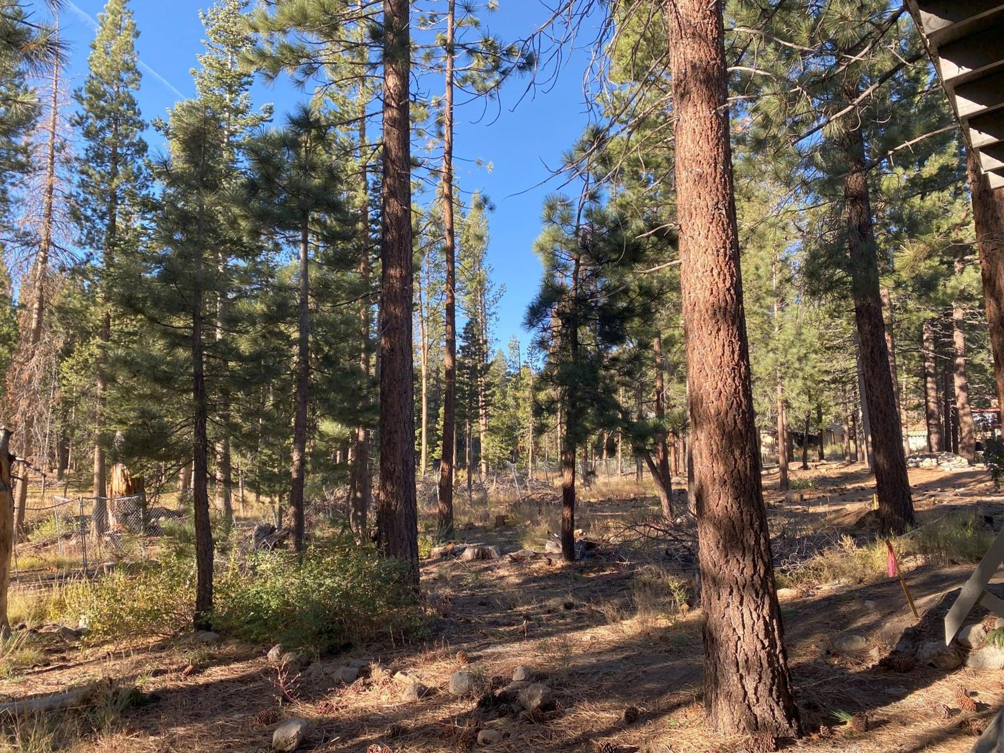 Cinnamon Bear Inn Mammoth Lakes Dış mekan fotoğraf