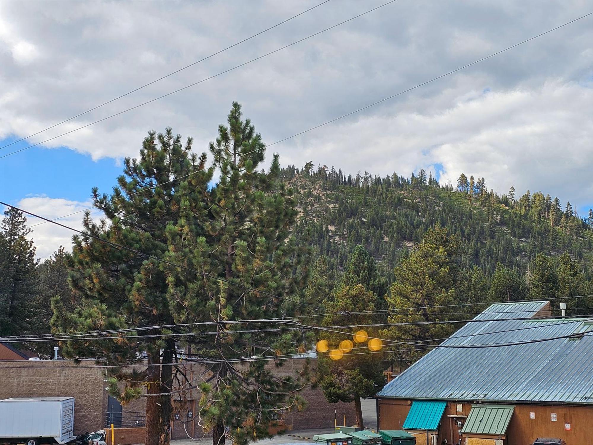 Cinnamon Bear Inn Mammoth Lakes Dış mekan fotoğraf
